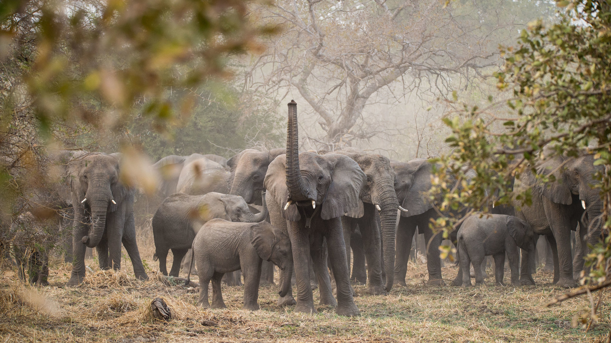 Zakouma National Park